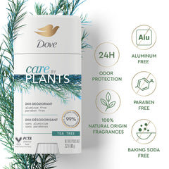 Dove Care by Plants Tea Tree Deodorant Stick 24-hour protection claim beside aluminum-free badge
