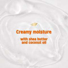 Dove Love Collection packaging back view showing ingredients and tips