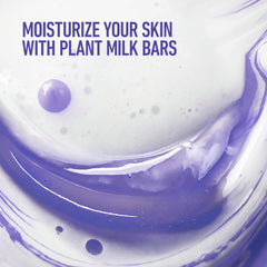 Dove Willow Lavender Bar with willow extracts offers gentle cleansing without sulfates or parabens.