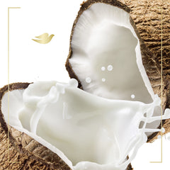 Dove Purely Pampering cruelty-free PETA-certified label on bottle
