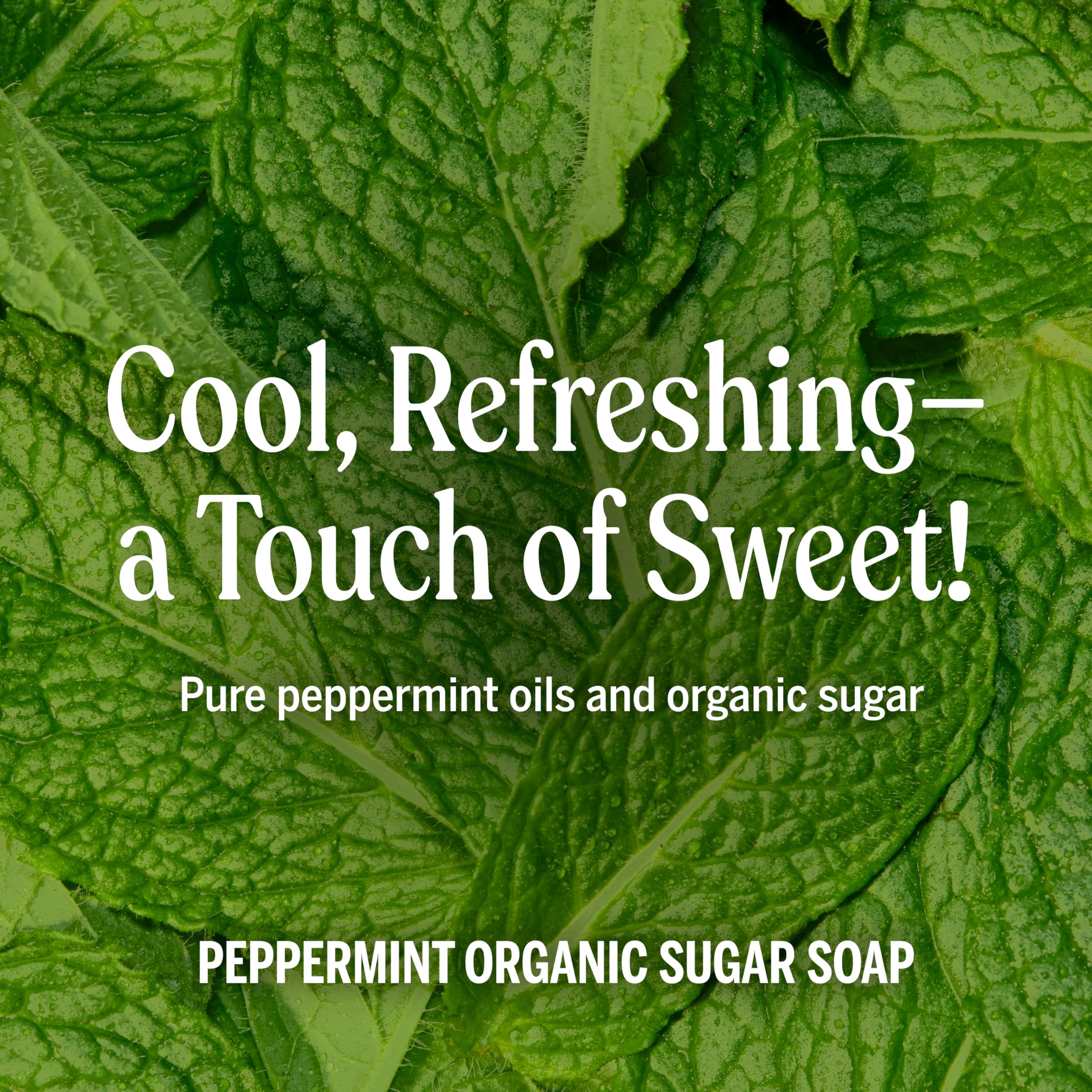 Dr. Bronner’s Organic Shikakai powder image highlights a gentle cleansing ingredient.