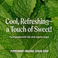 Dr. Bronner’s Organic Shikakai powder image highlights a gentle cleansing ingredient.