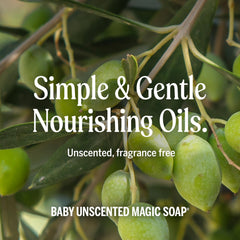 Three-time concentrated formula invites easy dilution for dishes and cleaning tasks.