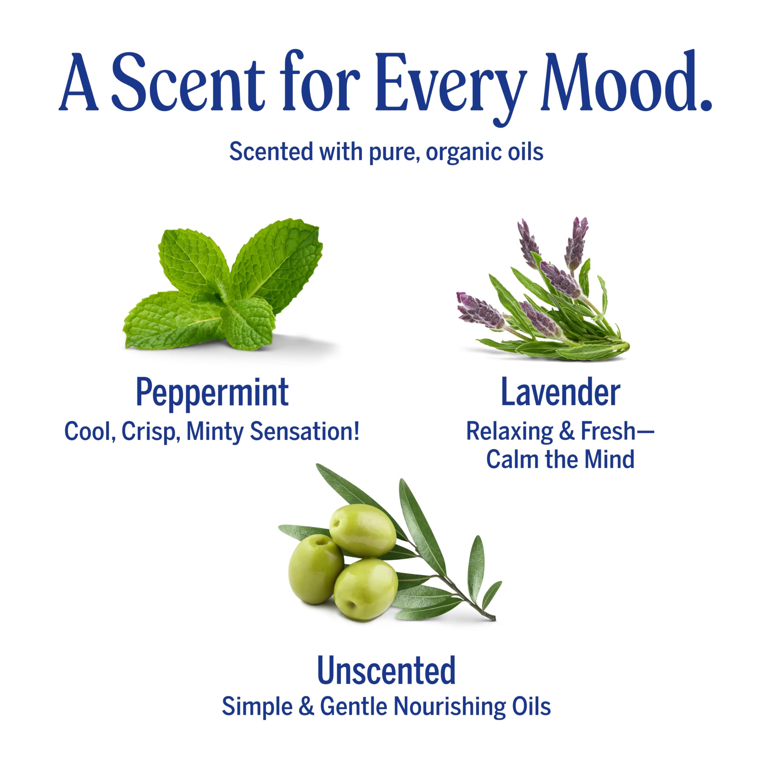Display of Dr. Bronner's three-pack for varied routines