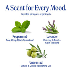 Display of Dr. Bronner's three-pack for varied routines