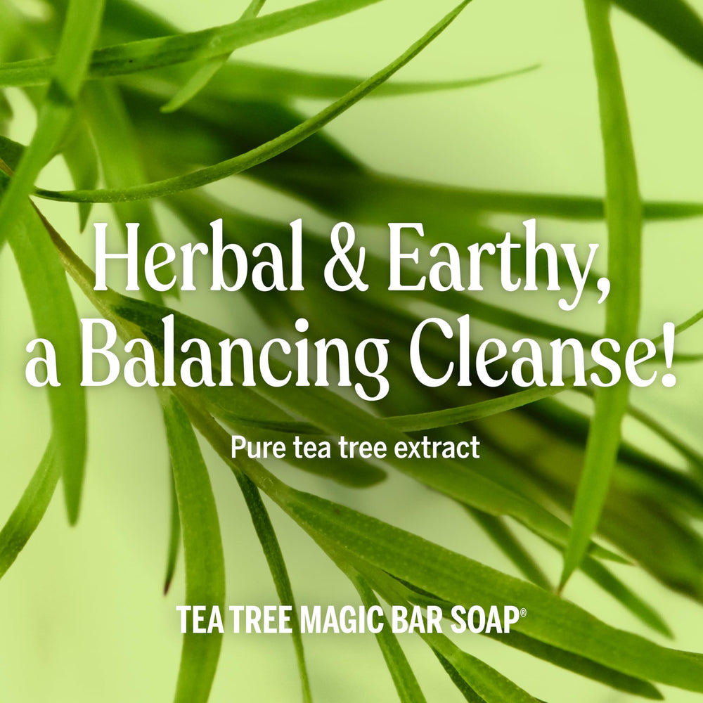 Dr. Bronner's Tea Tree Bar ingredients label showing plant-based care