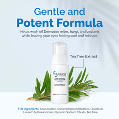 Tea tree ingredient glass bottle highlighting natural cleansing for sensitive eyes