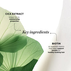 Close-up of centella visual emphasizing Dr. Groot soothing scalp moisture