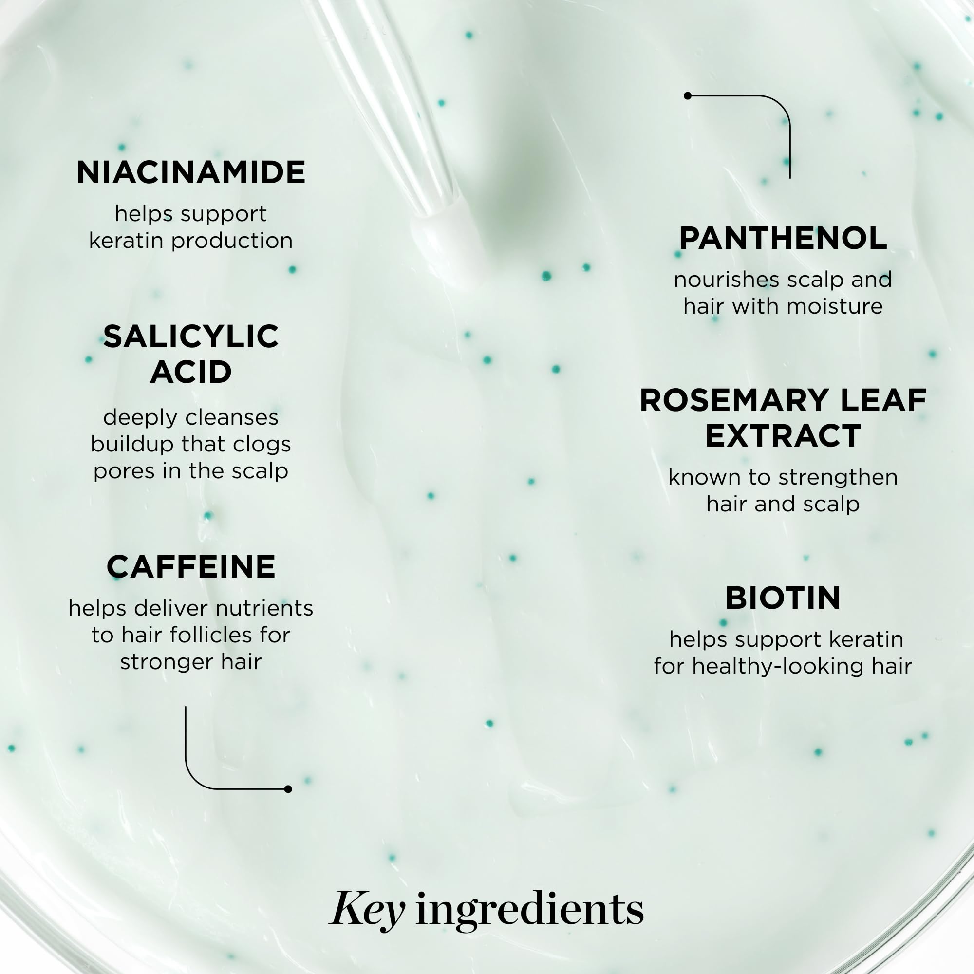 Dr. Groot rosemary capsules detail highlighting botanical nourishment benefit
