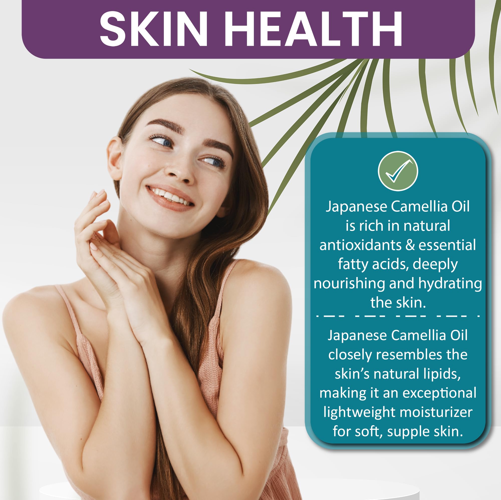 Dr Joe Lab Camellia Seed Oil on skin application demonstrating quick absorption