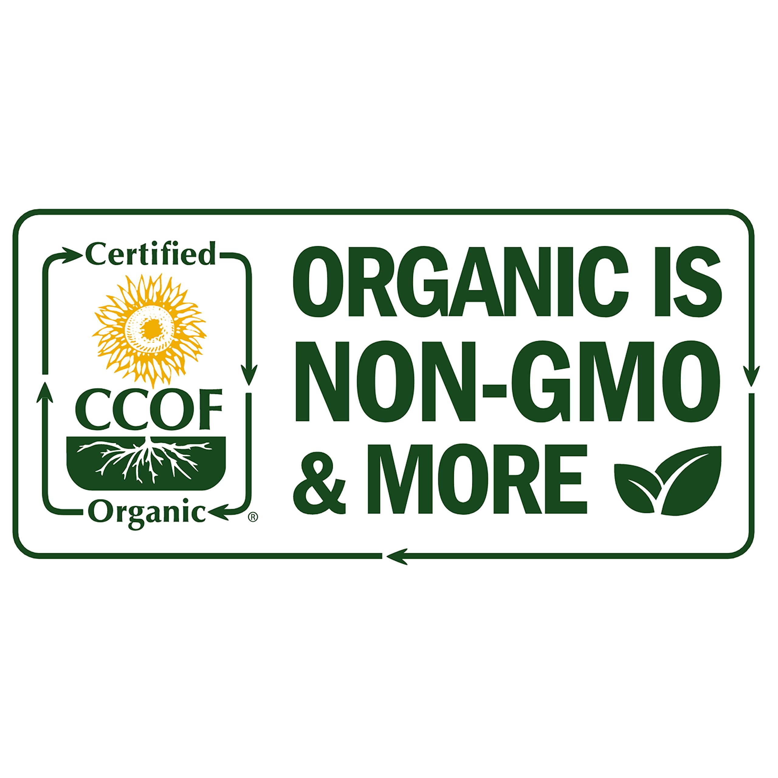 Dr Joe Lab Vitamin E Oil packaging highlights non-GMO and cold-pressed quality