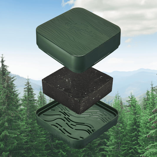 Dr. Squatch Birchwood Breeze soap with refreshing, natural scent for daily cleansing.