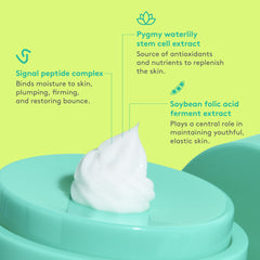 Ingredient highlights featuring peptides and pygmy waterlily extract