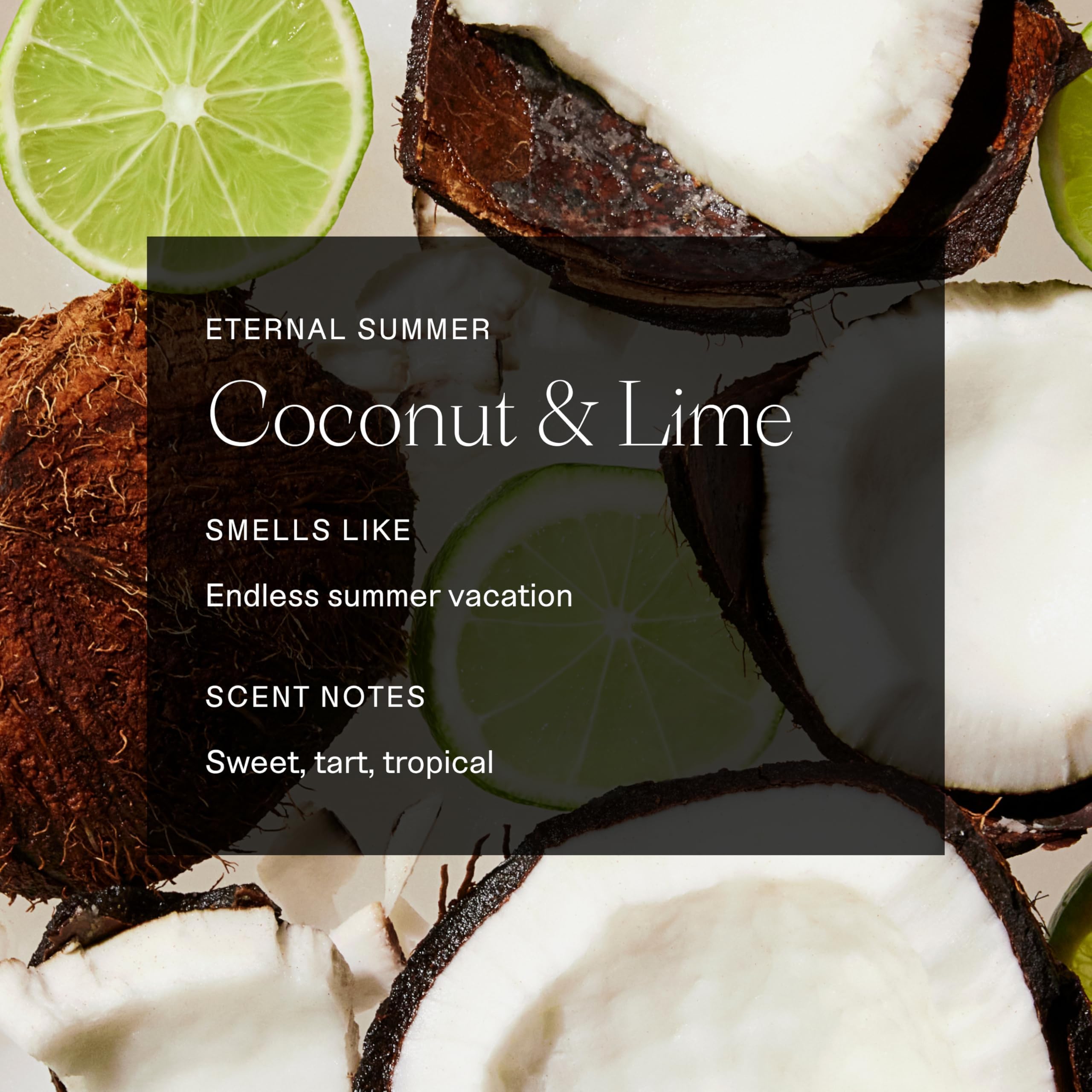 Each & Every two-pack display emphasizes value and fragrance for daily use.
