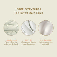 EADEM Dew Dream tiger-grass moringa ingredients close-up highlighting botanicals