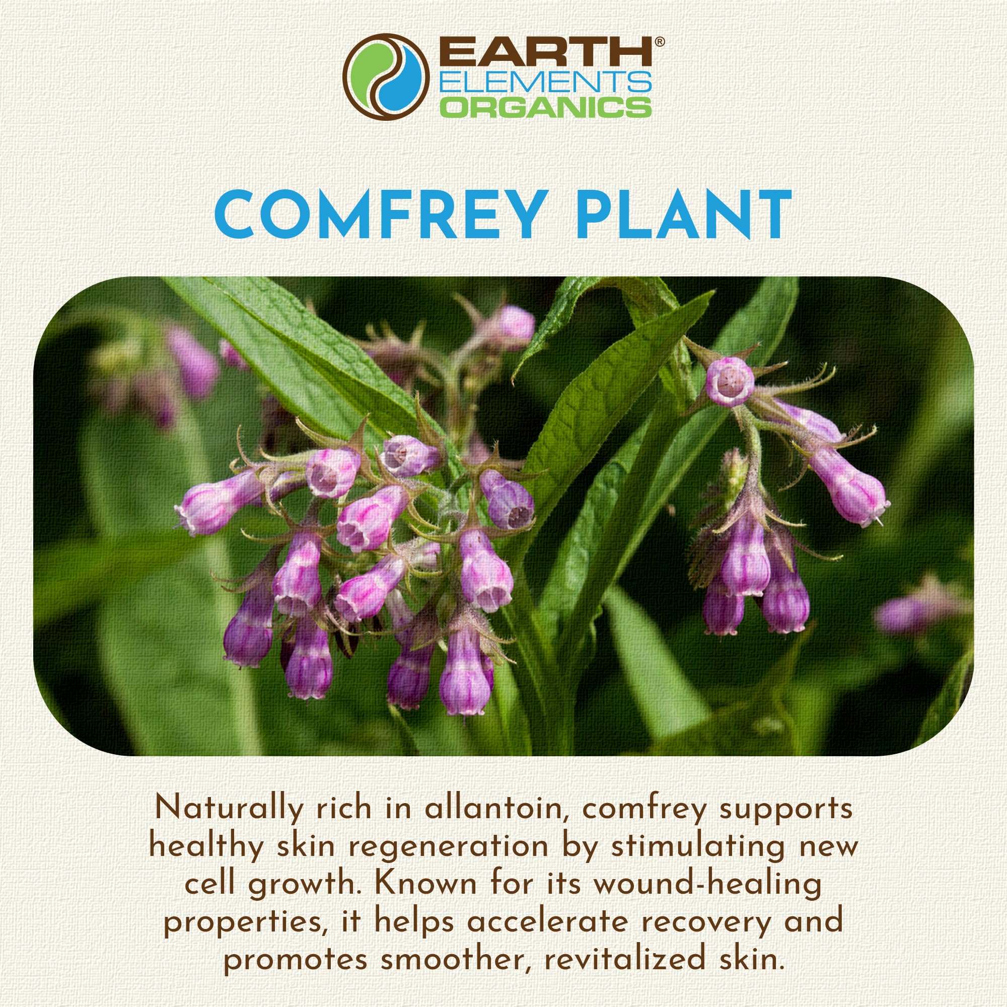 Close-up of comfrey oil texture showing a light, fast-absorbing spread.