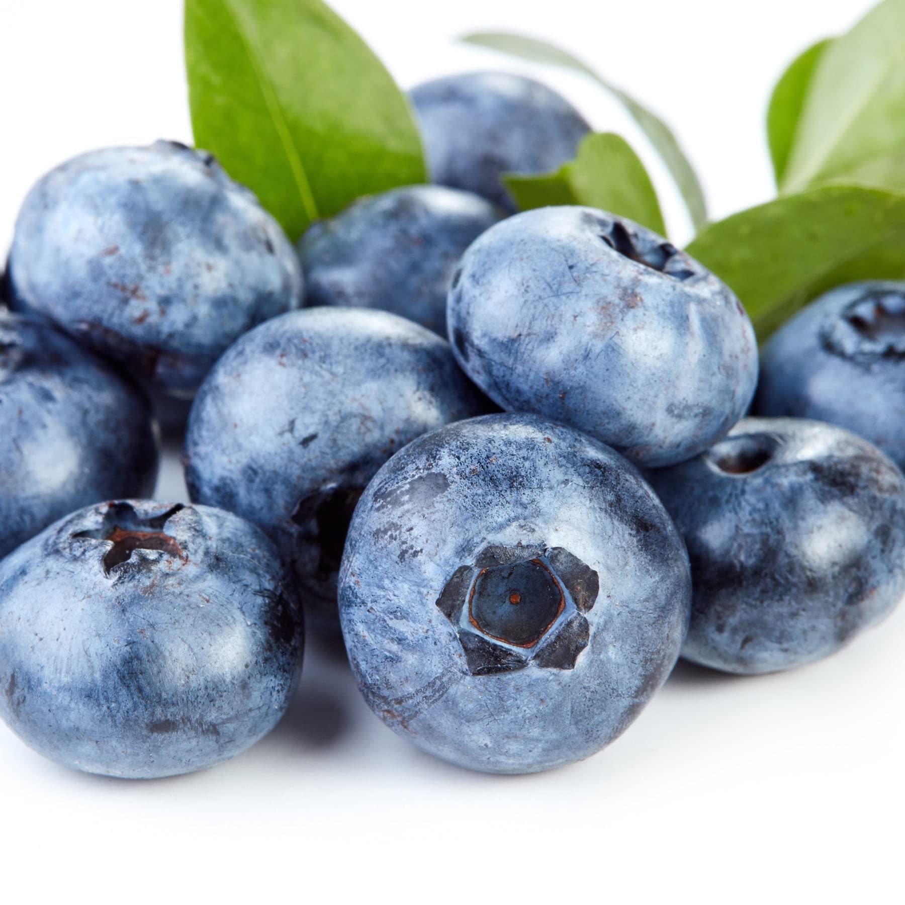 Blueberry extract particles in Earth To Skin exfoliator indicating gentle exfoliation