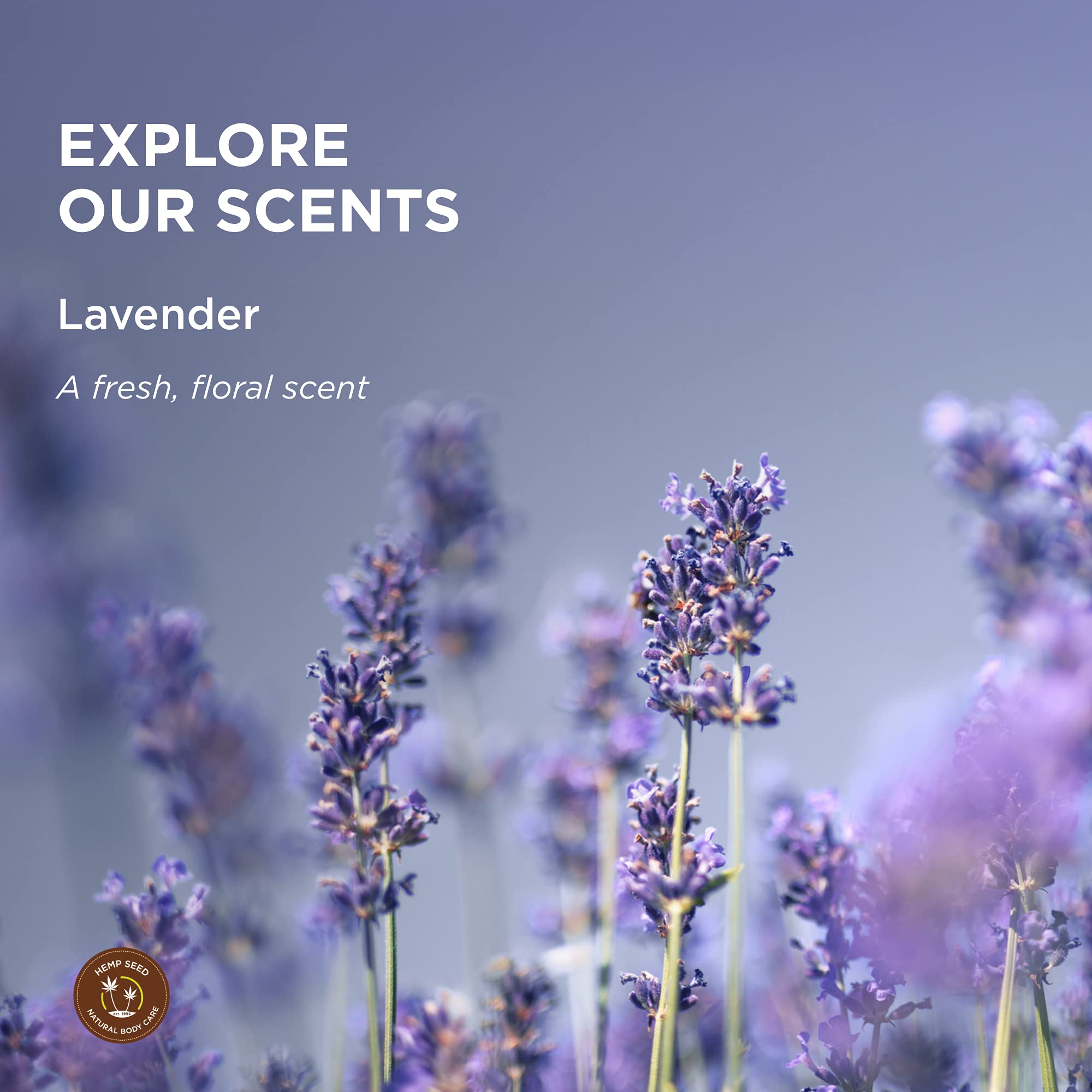Earthly Body lavender scent close-up showing hydrating wheat protein in action