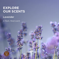 Earthly Body lavender scent close-up showing hydrating wheat protein in action