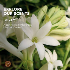 Earthly Body hemp-seed-bath-shower-gel-ingredients-hemp-seed-oil close-up shows nourishing oil for skin.