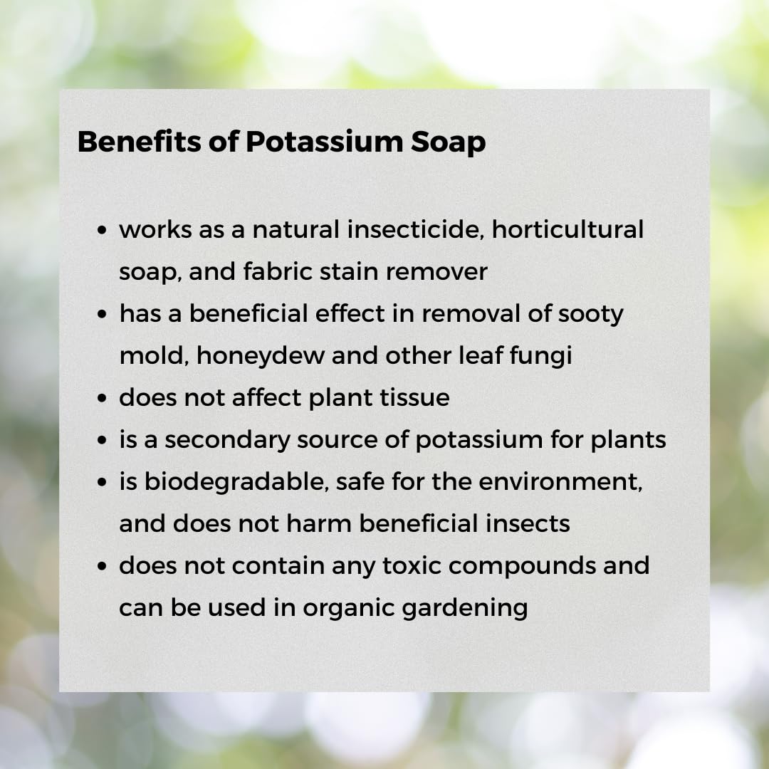 Ecoworm Potassium Soap Concentrate pots close-up demonstrates clean containers for planting.