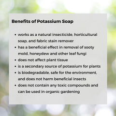 Ecoworm Potassium Soap Concentrate pots close-up demonstrates clean containers for planting.