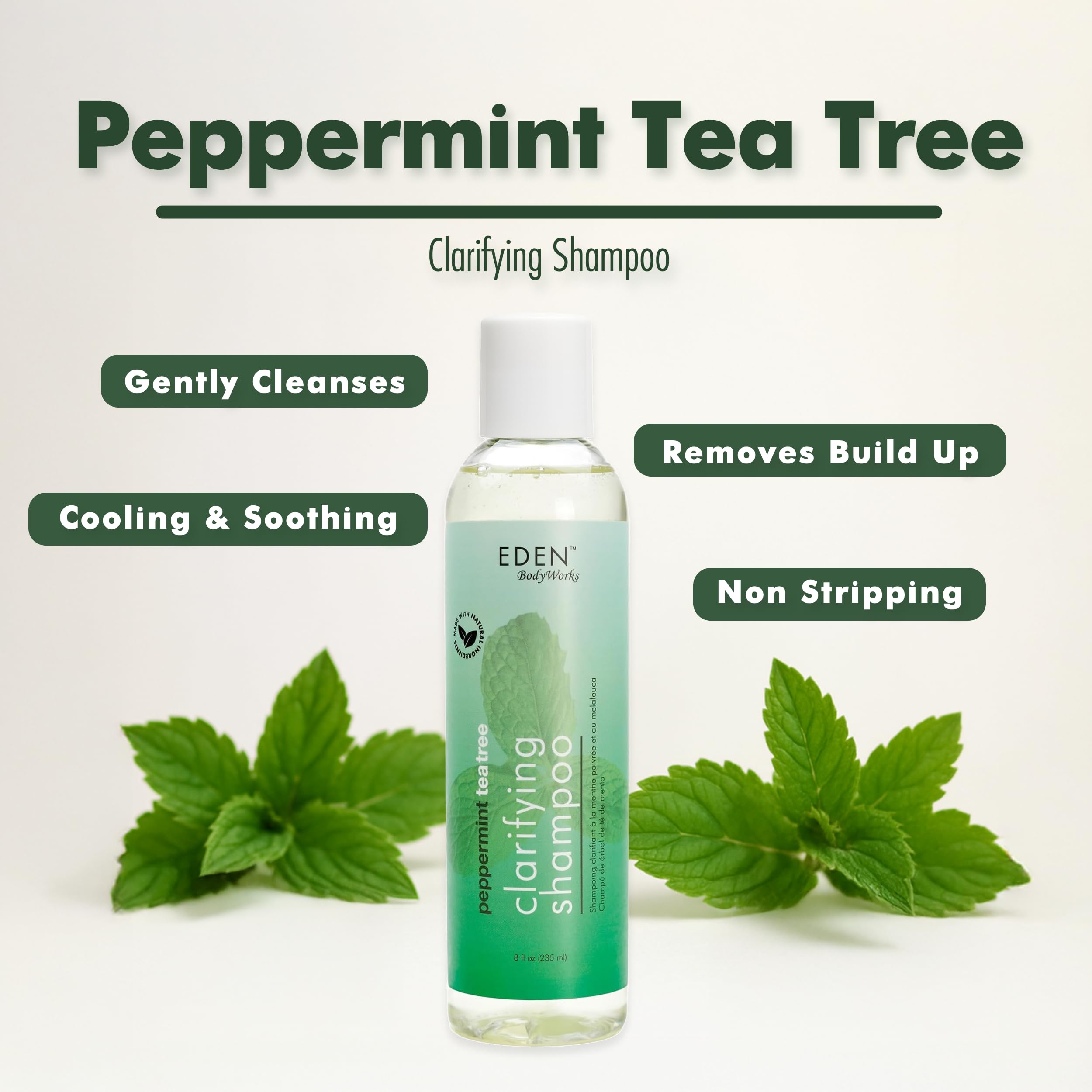 Ingredients closeup for EDEN BodyWorks Peppermint Tea Tree Shampoo with tea tree and peppermint oils.