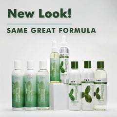 Product packaging image of EDEN BodyWorks Peppermint Tea Tree Shampoo.