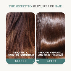 Edenika Botanicals biotin ingredients closeup highlighting nourishing compounds