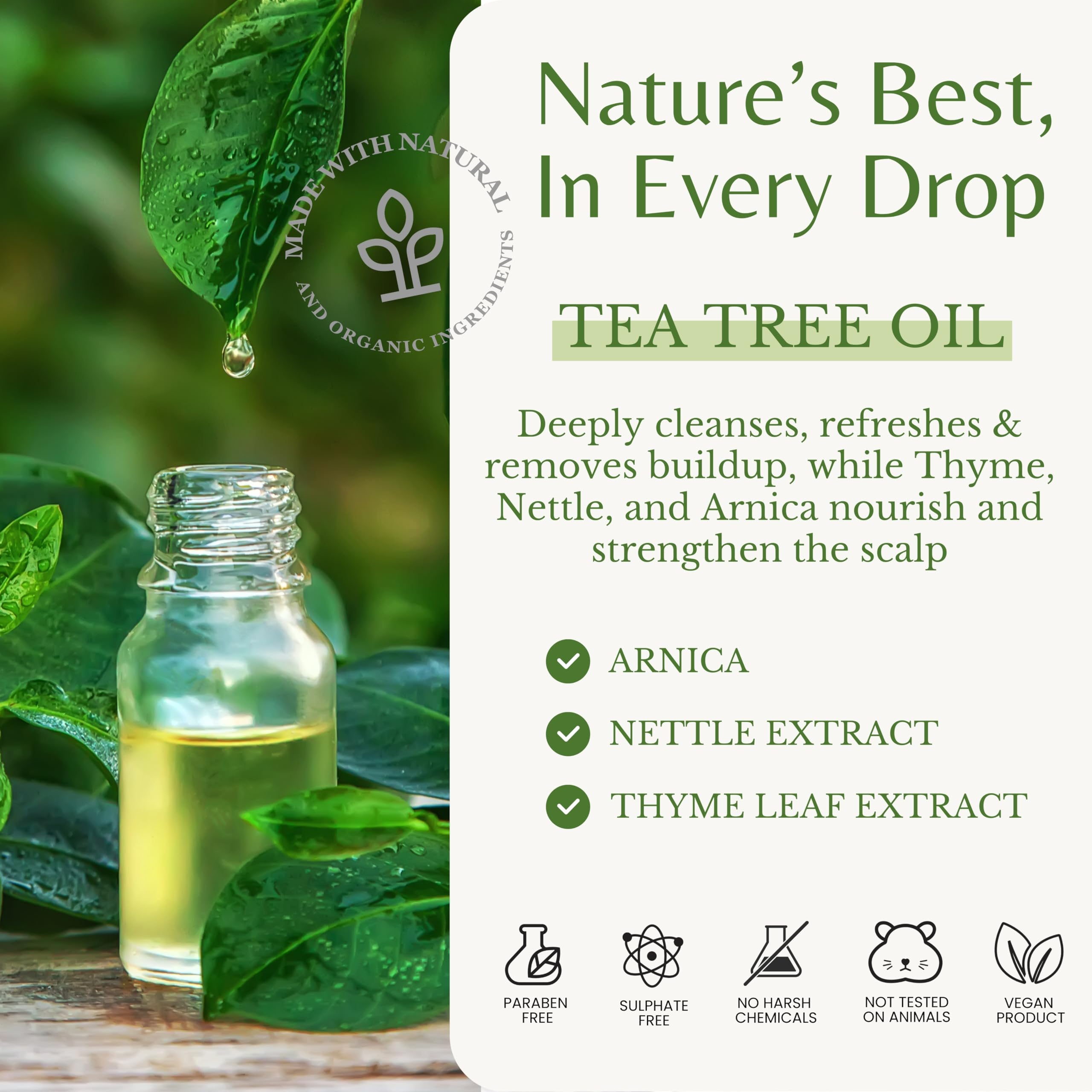 Nettle and Arnica-rich EDENIKA herbs close-up for nourished scalp support