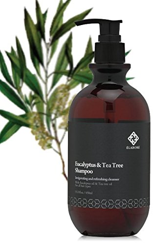 Elabore Eucalyptus & Tea Tree Treatment tube offering cooling, revitalizing hair care.
