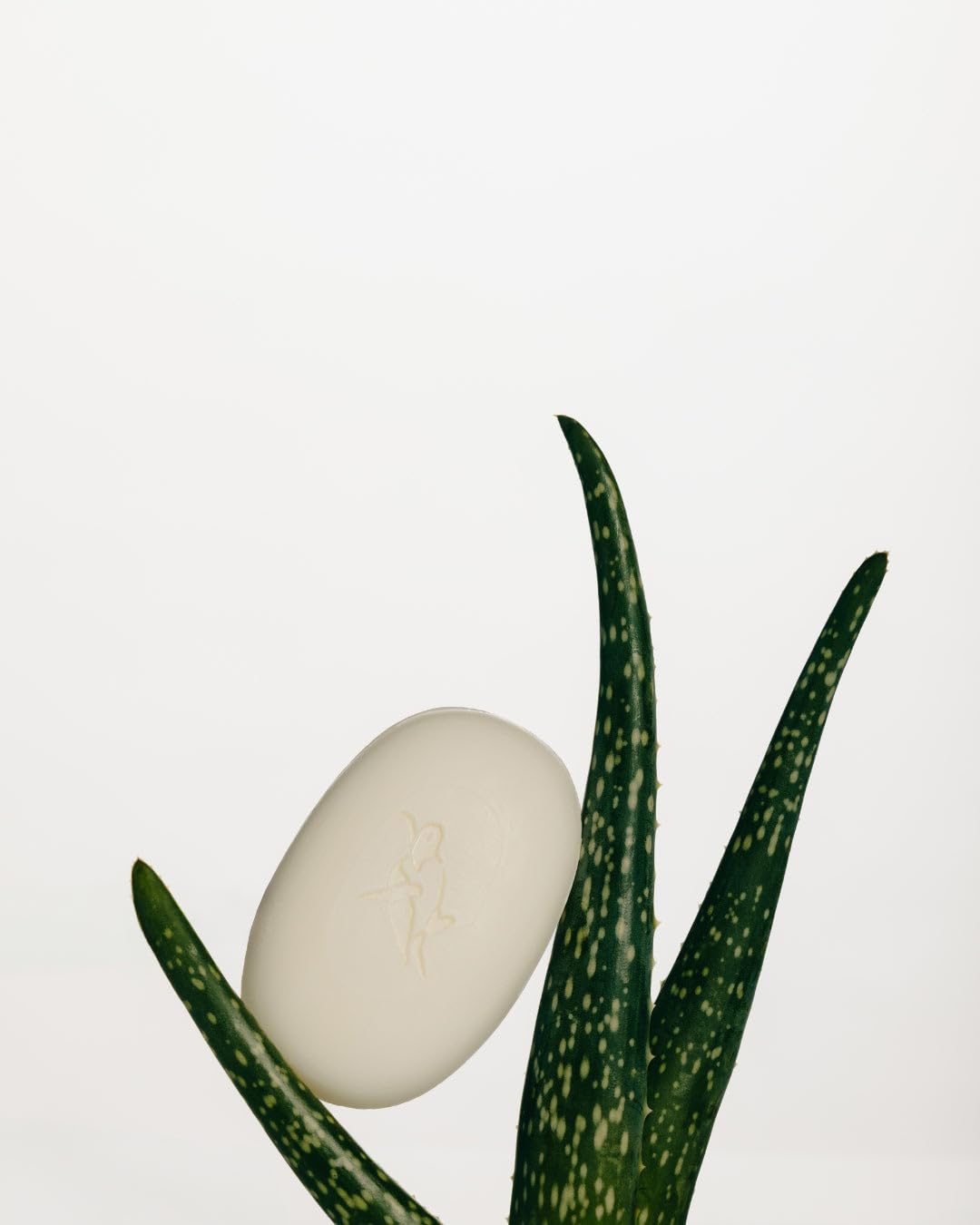 Elliqua No.0 cruelty-free symbol on clean packaging signals ethical sourcing.