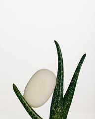 Elliqua No.0 cruelty-free symbol on clean packaging signals ethical sourcing.