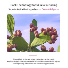 Visual of ELT Red Cactus Extract Mask ingredients with lavender, chamomile, and rose notes.