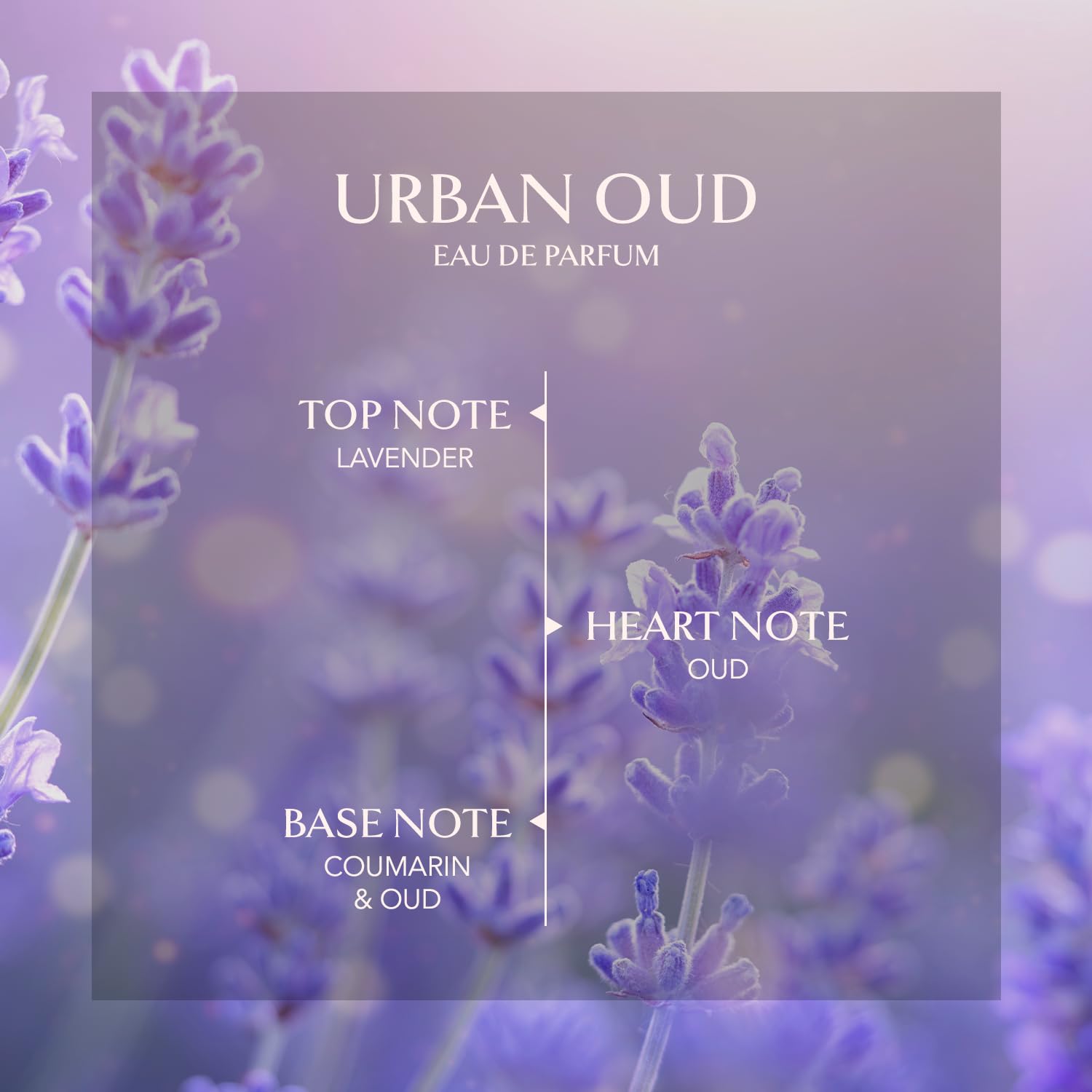 Embarouge Urban Oud elegant label close-up emphasizes refined craftsmanship