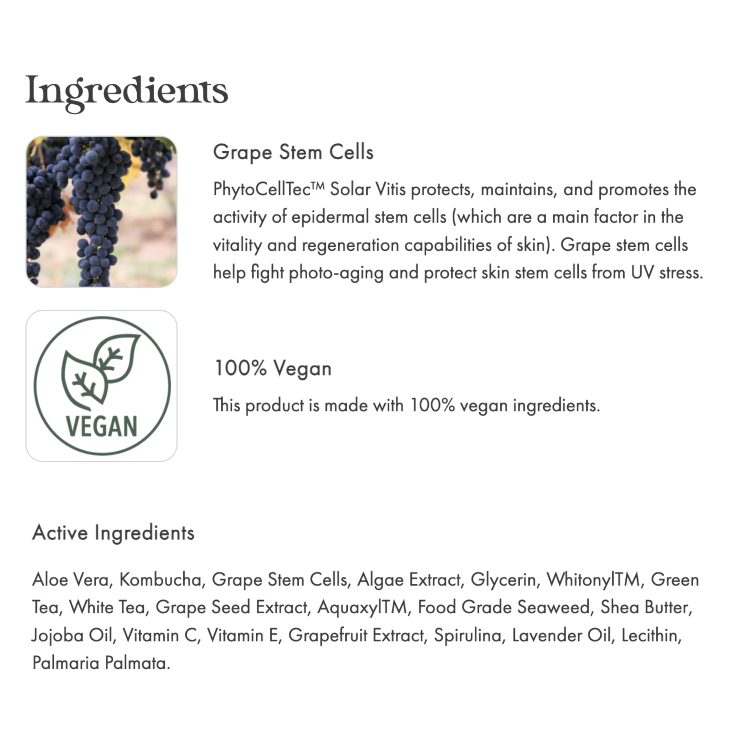 Grape stem cells concept visual suggesting protection from photo-aging