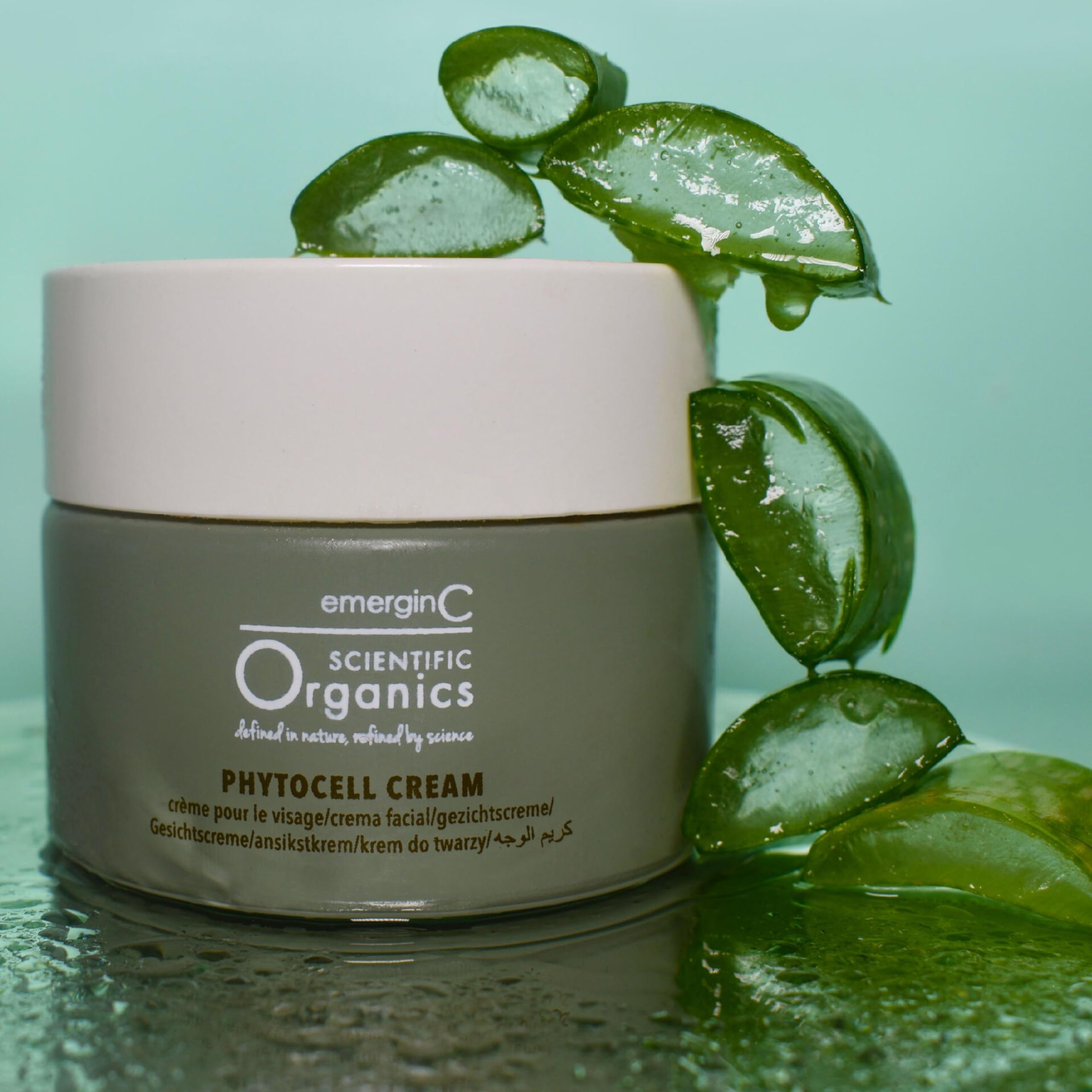 Kombucha culture visuals highlight nutrient-rich skincare support