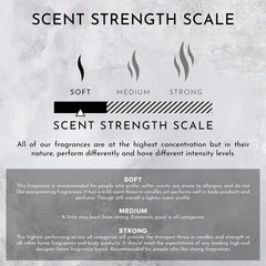 ENVIRONMENT WN Lotion aroma drops convey resort-inspired scent for mood enhancement