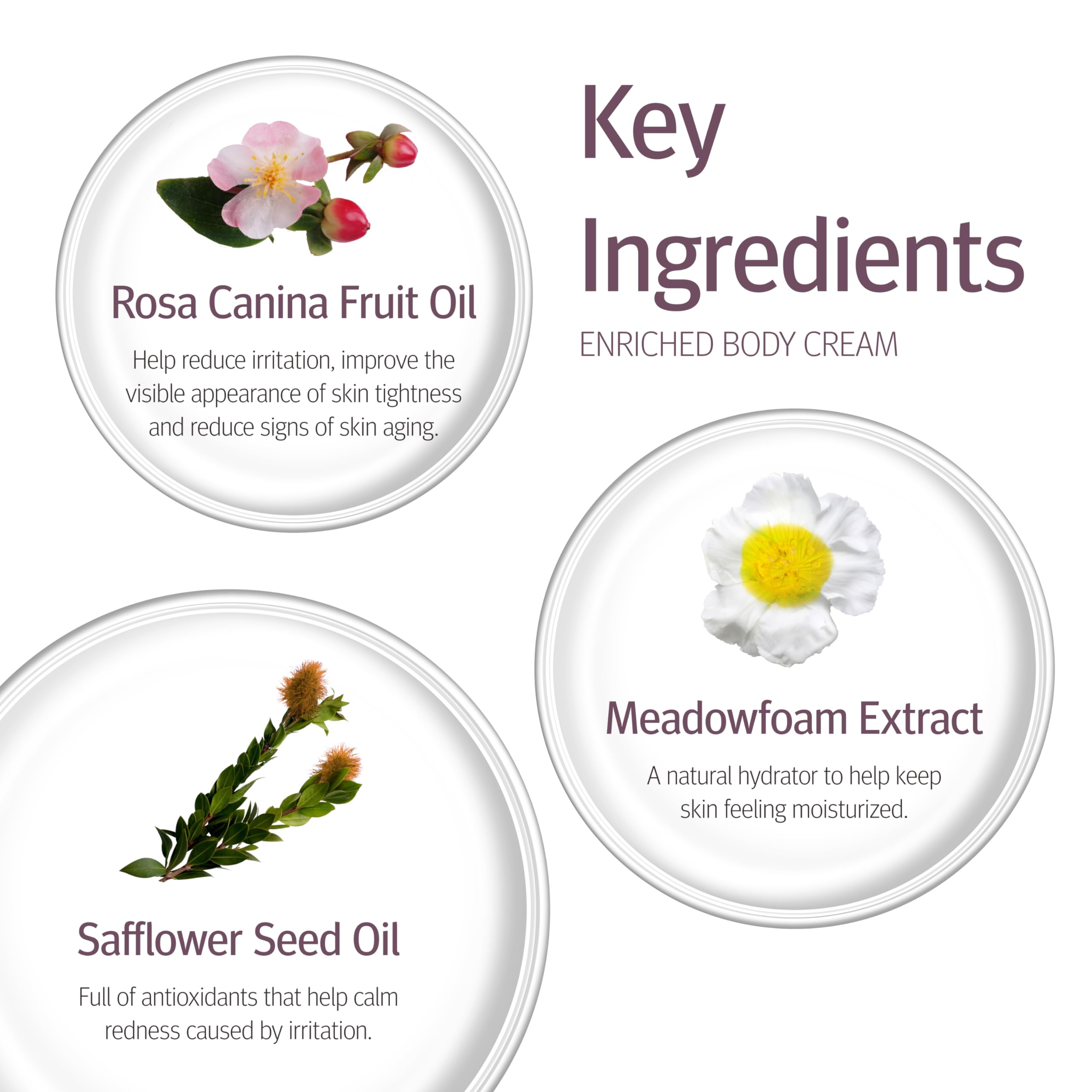 Epionce Enriched Body Cream on hands, providing enduring moisture.