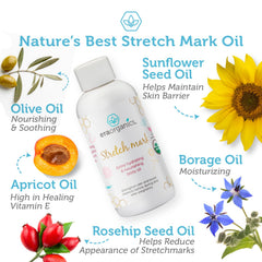 Era Organics belly oil being applied with gentle massage on the skin