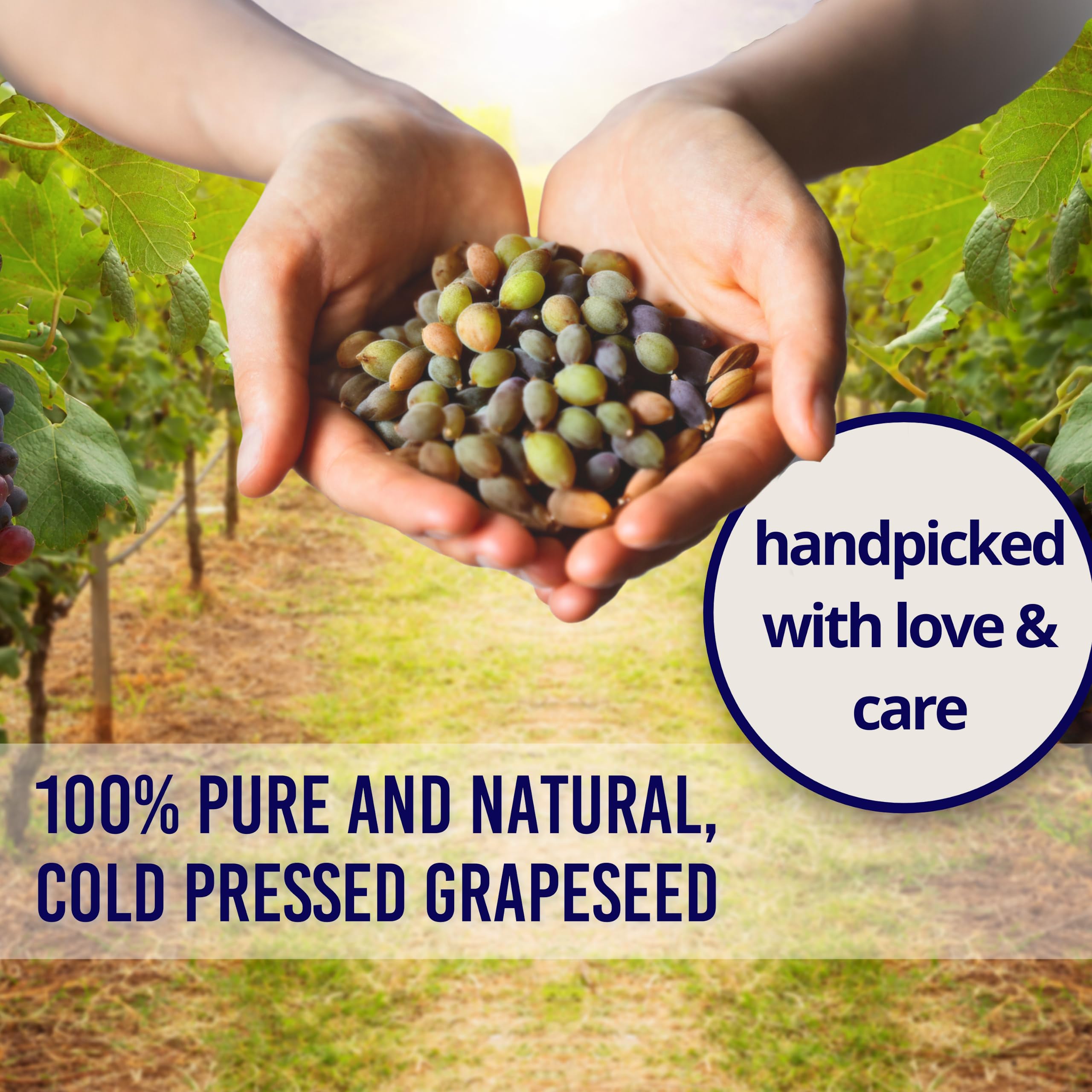 Essentially KateS Grapeseed Oil highlights Vitamin E and fatty acids for resilience.