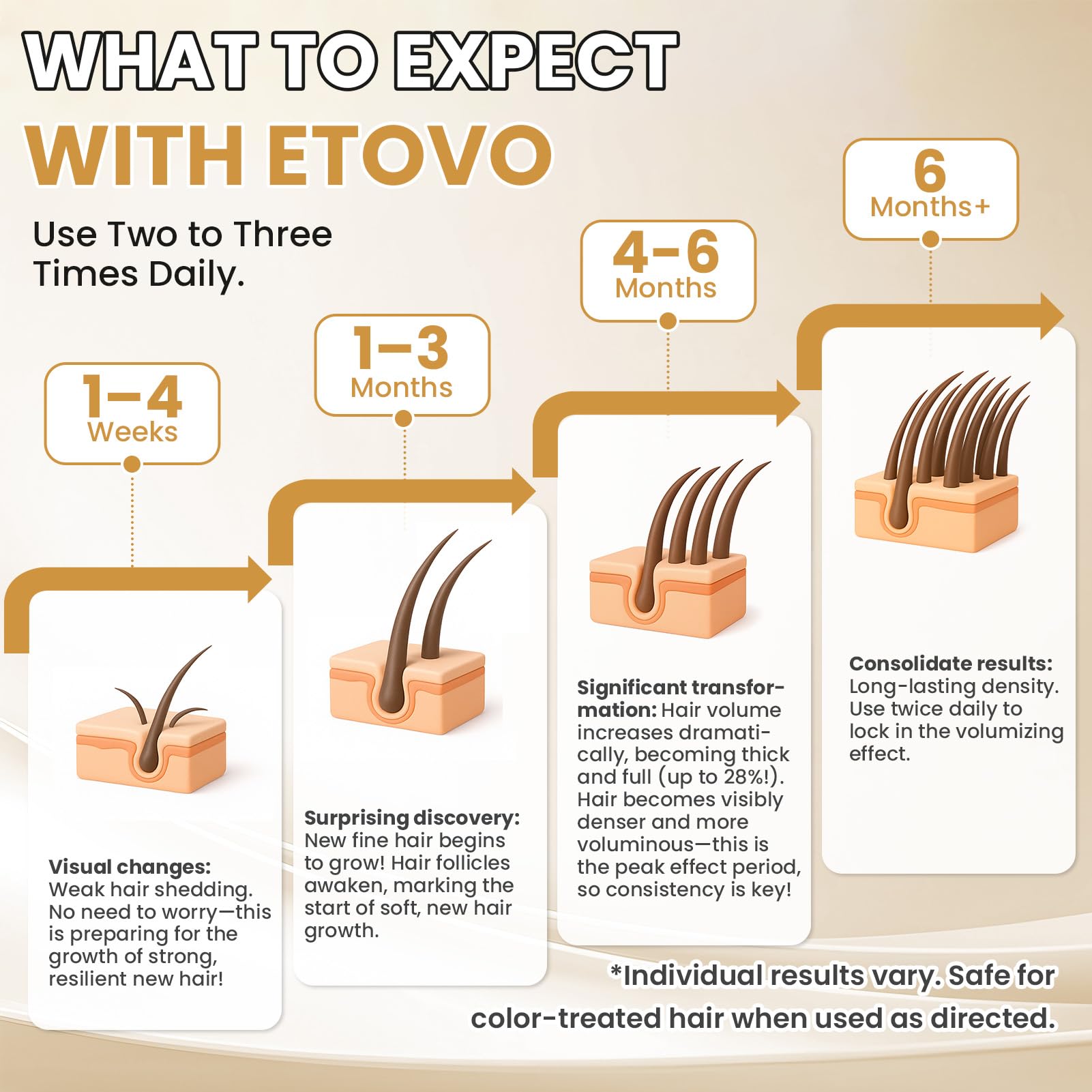 ETOVO minoxidil drops on scalp targeting dormant follicles for growth.