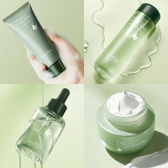Etuanxi Avocado Eye Cream soothes the eye area with light hydration.