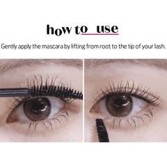 ETUDE Curl Fix Mascara 1Plus1 Set communicates value and versatility for daily looks