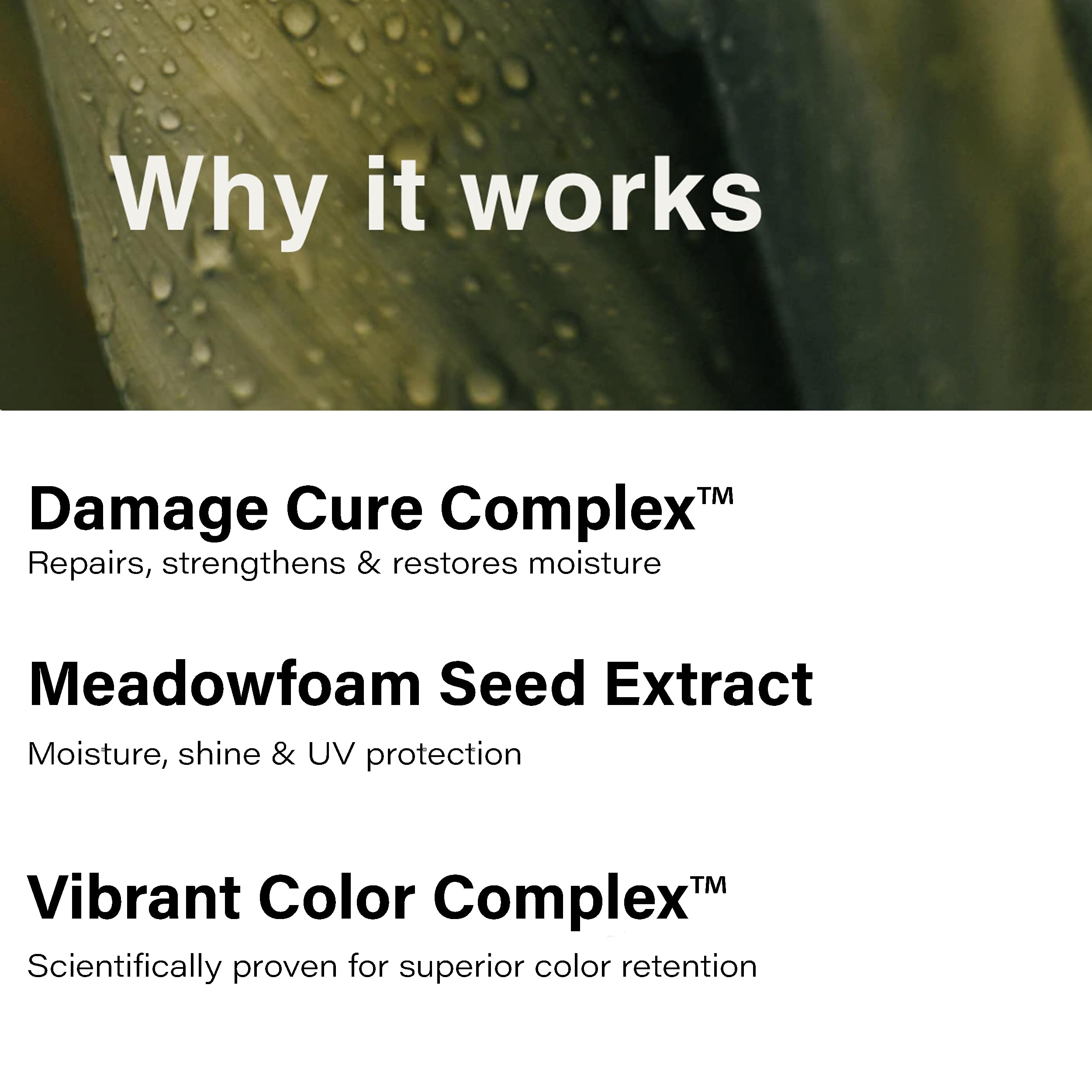 Eufora Bodifying Shampoo lifestyle shot suggests daily use for vibrant hair