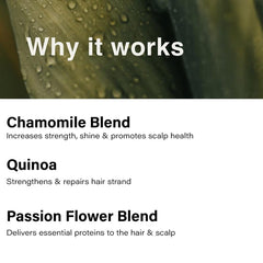 Eufora Moisture Solution packaging conveys premium conditioning care