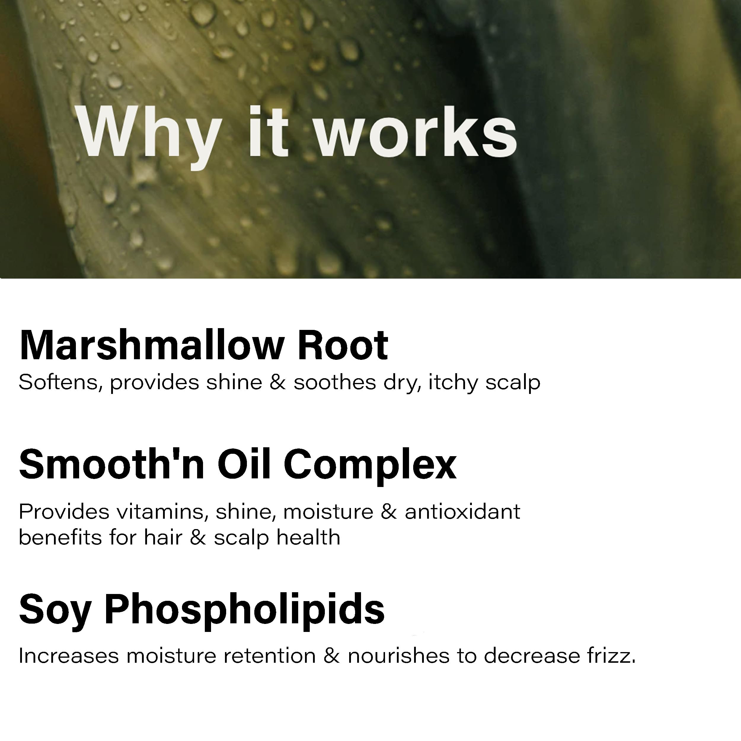 Close-up of aloe-based formula in Eufora Soothing Conditioner calming a sensitive scalp.