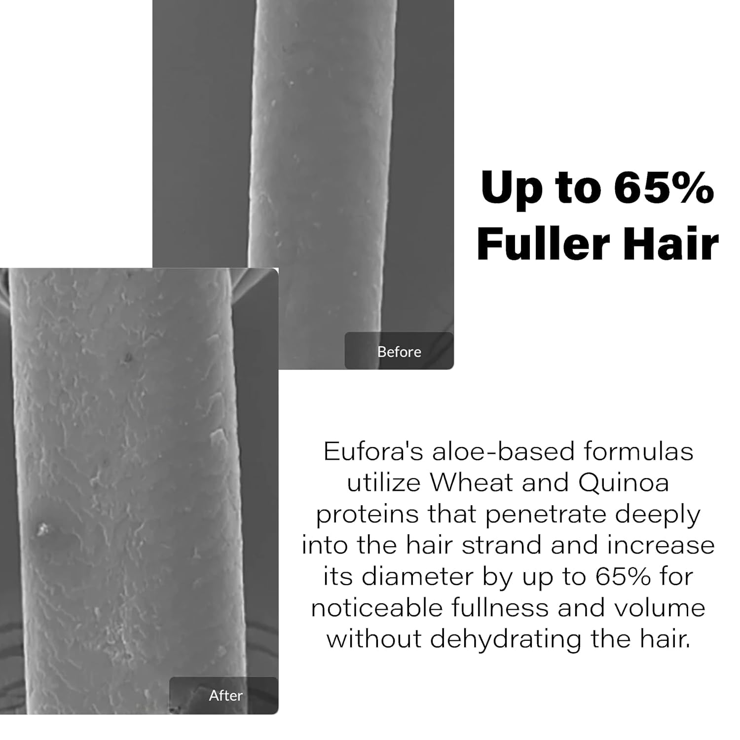 Eufora Volume Fusion fullness shot highlights quick styling boost for thin strands.
