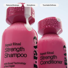 Red algae ingredient spotlight in Eva NYC Ritual Repair Shampoo