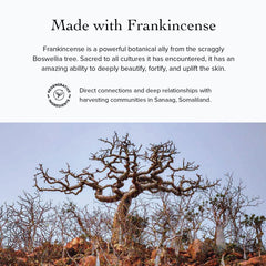 Evanhealy Frankincense hydrosol texture closeup suggests smoothing impact.